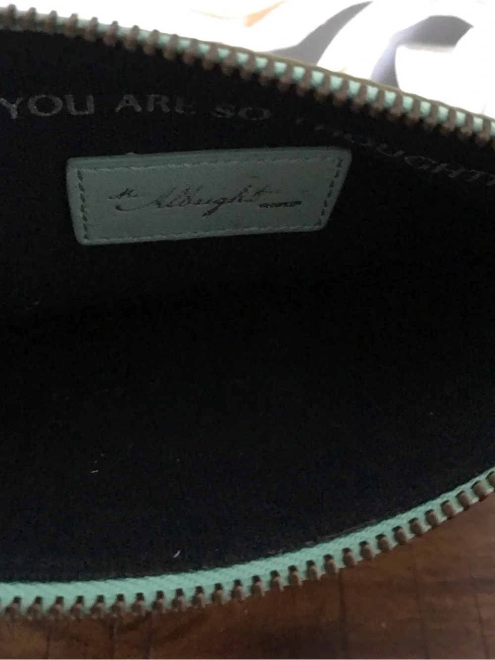 Anthropologie, Miss Albright Collection - Mint Virgo Appliqué Wristlet/Clutch